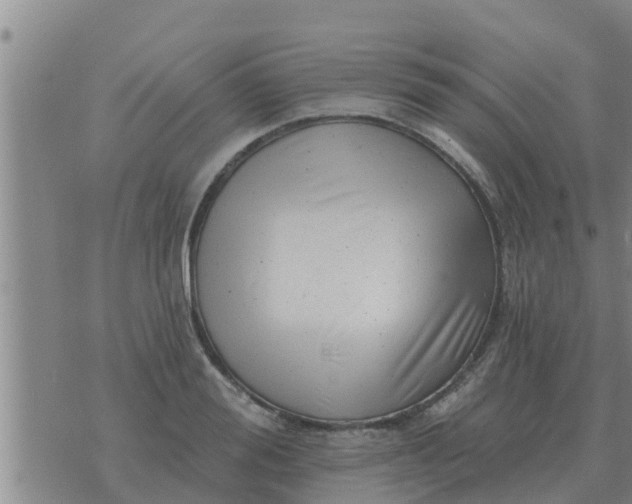 X0000074340988200609082053