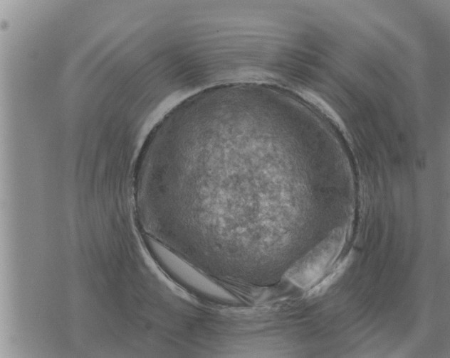 X0000074340989200609082053