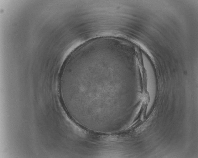 X0000074340991200609082053