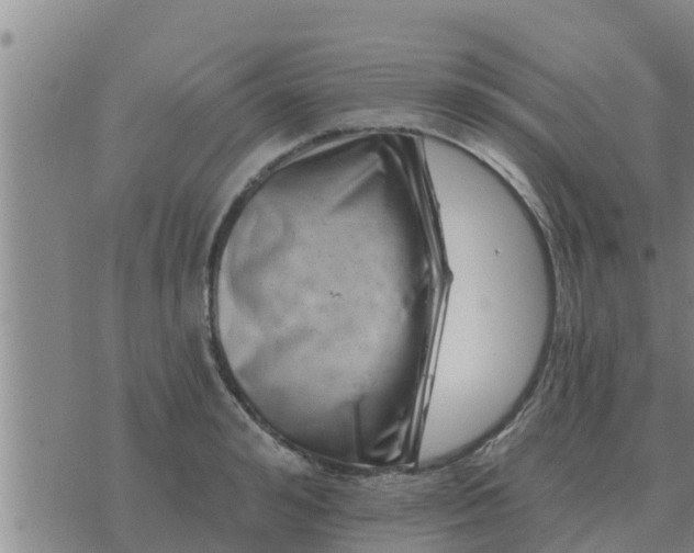 X0000074340992200609082053