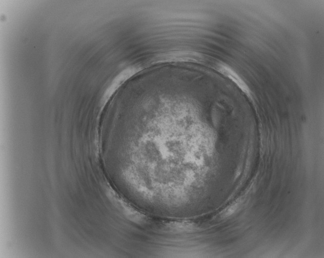 X0000074340994200609082052