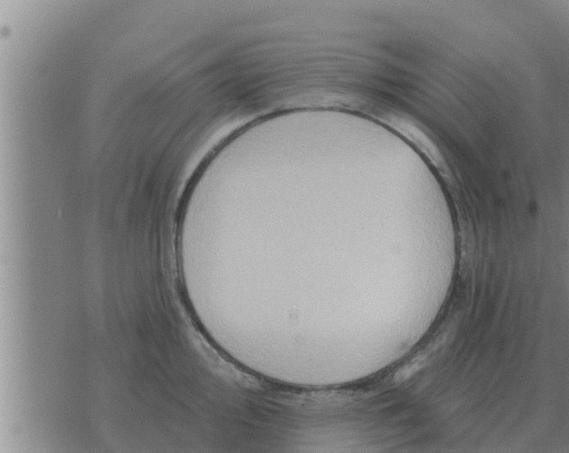 X0000074341000200609082052