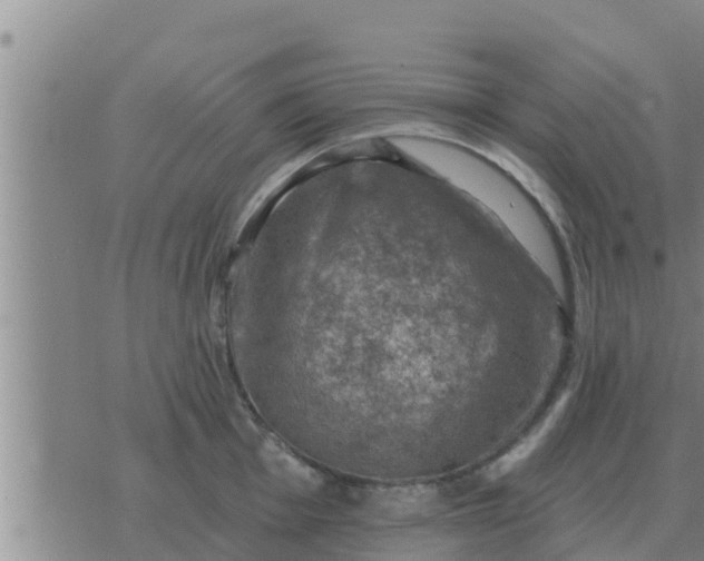 X0000074341001200609082052