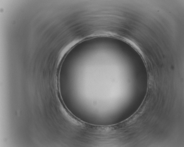 X0000074341003200609082052