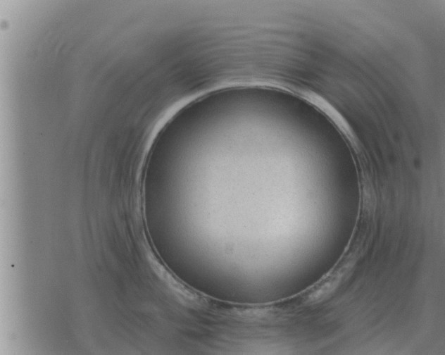 X0000074341004200609082052