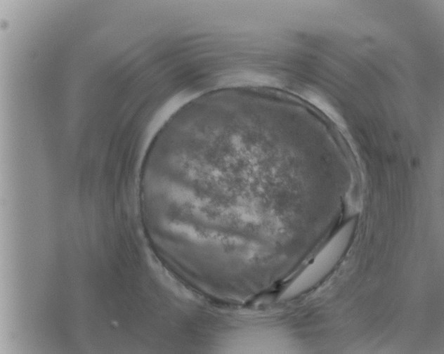 X0000074341008200609082052