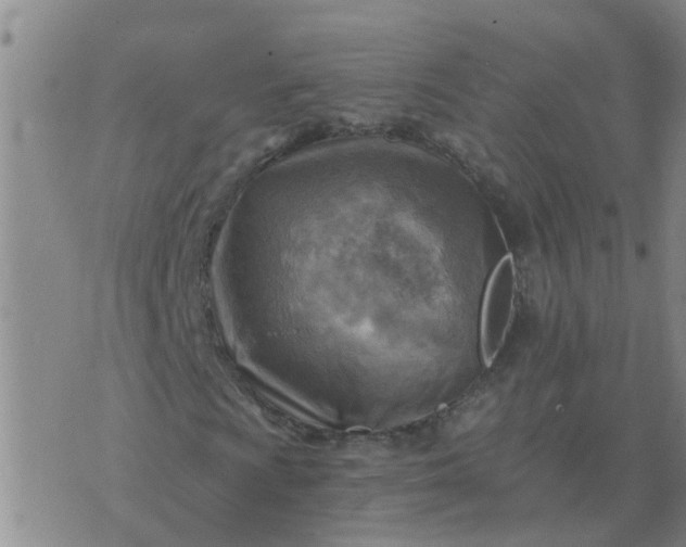 X0000074341009200609082051