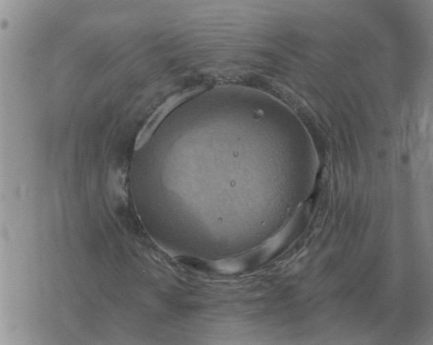 X0000074341010200609082052