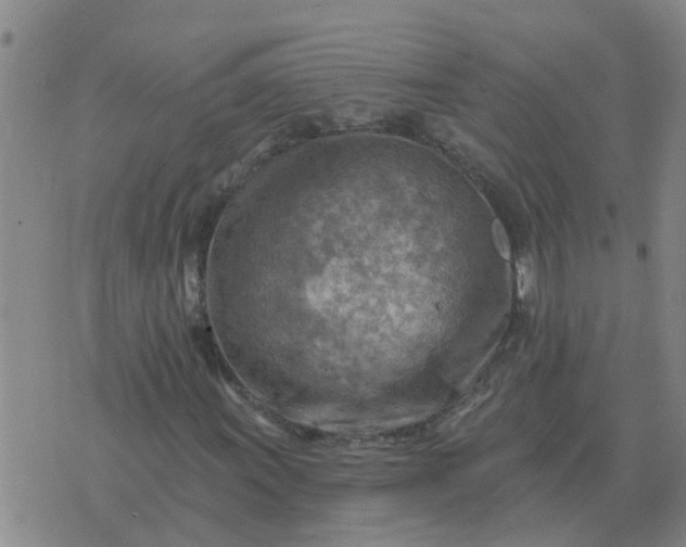 X0000074341011200609082052