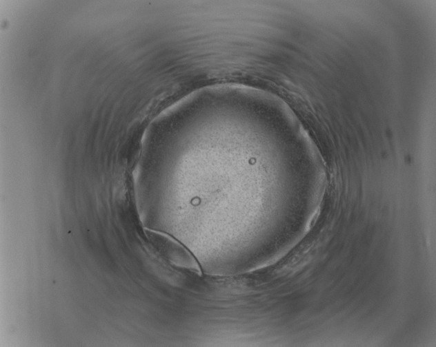 X0000074341012200609082052