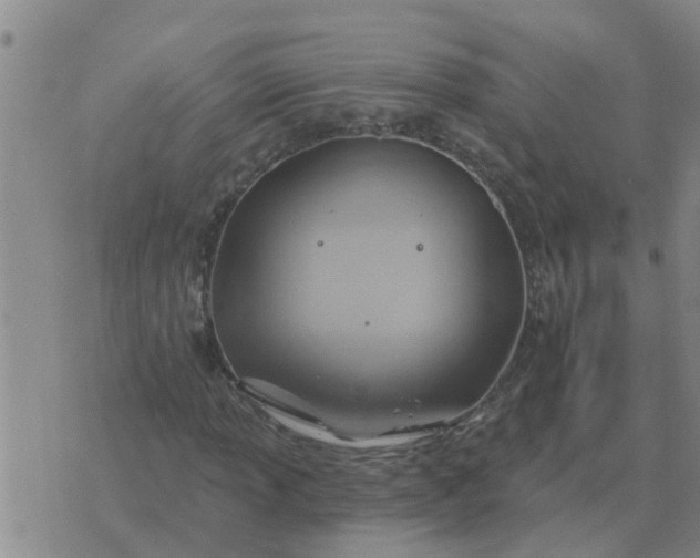 X0000074341013200609082052