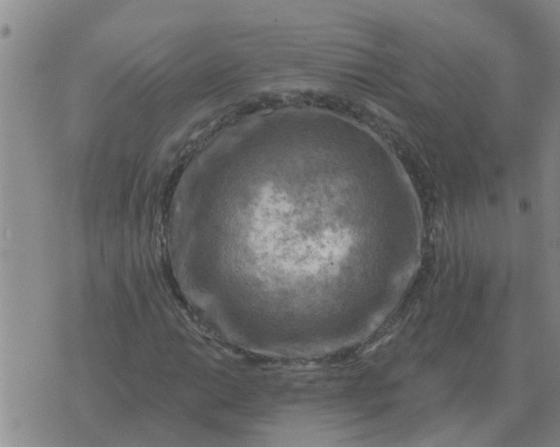 X0000074341014200609082052