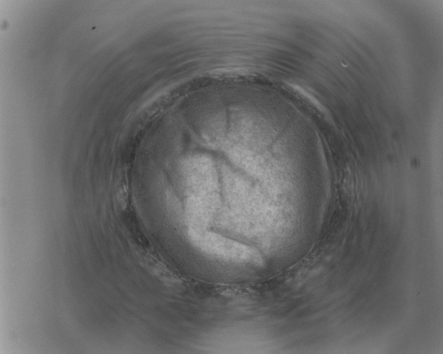 X0000074341015200609082052