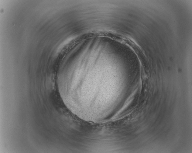 X0000074341016200609082052