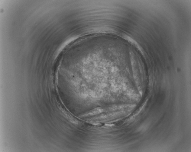 X0000074341019200609082052