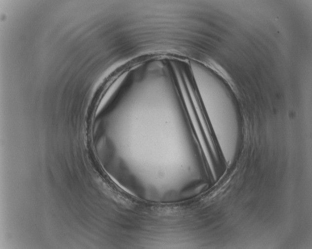 X0000074341020200609082052