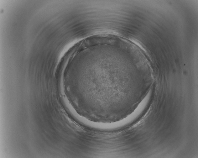 X0000074341022200609082052