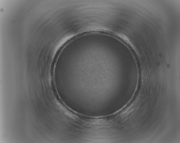 X0000074341024200609082052