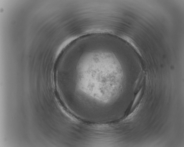 X0000074341030200609082052