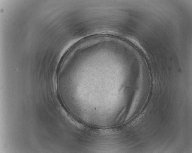 X0000074341032200609082052