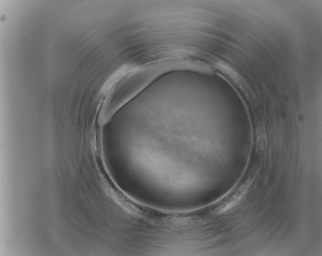 X0000074341034200609082052