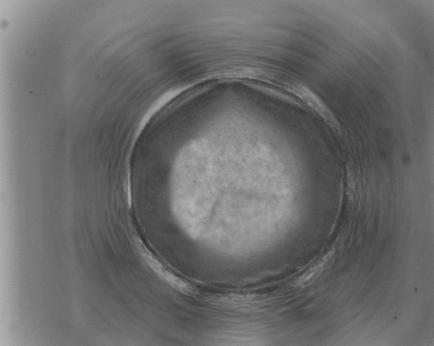 X0000074341036200609082052