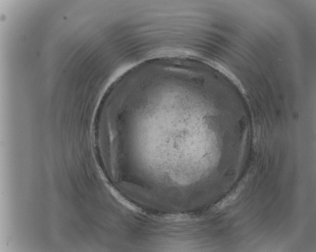 X0000074341037200609082052