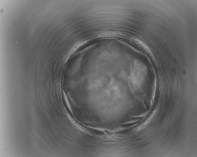 X0000074341041200609082052