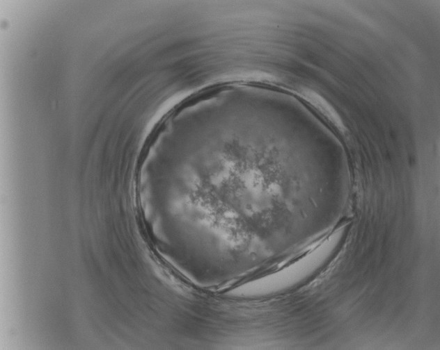 X0000074341044200609082052