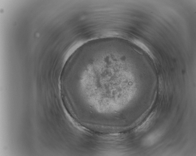 X0000074341047200609082052