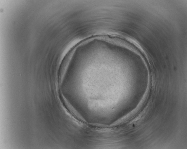 X0000074341048200609082052