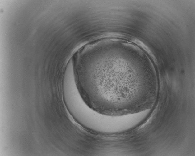 X0000074341049200609082052