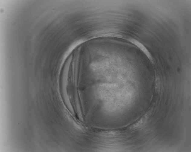 X0000074341051200609082052