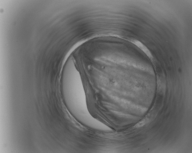 X0000074341052200609082052