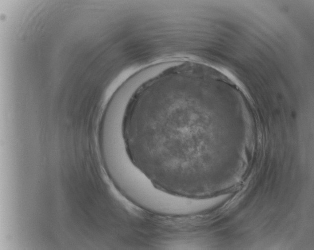 X0000074341054200609082052