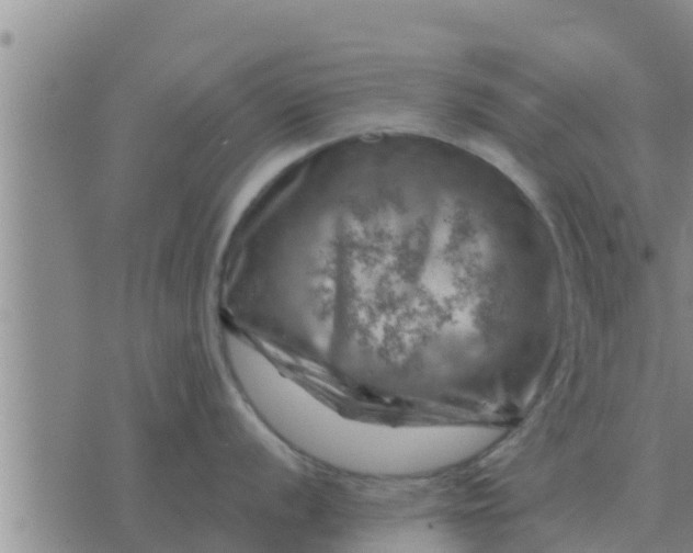 X0000074341056200609082052