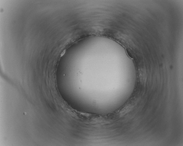 X0000074341057200609082051