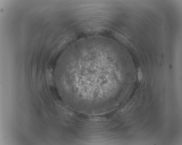 X0000074341059200609082051