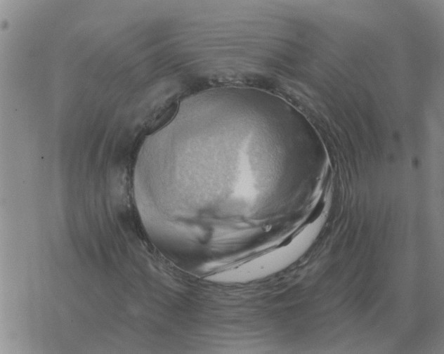 X0000074341060200609082051