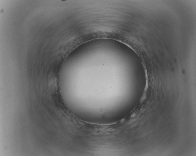 X0000074341061200609082051