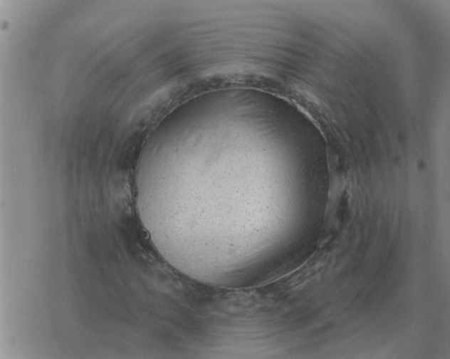 X0000074341062200609082051