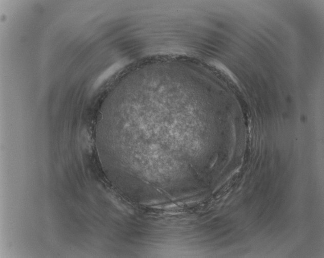 X0000074341064200609082051