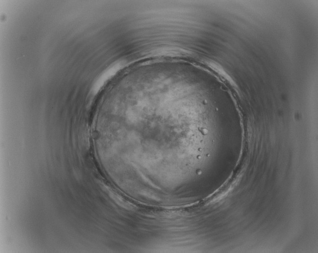 X0000074341067200609082051