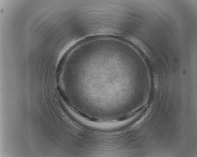 X0000074341069200609082051