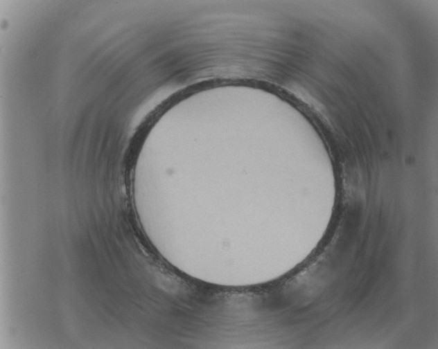 X0000074341070200609082051