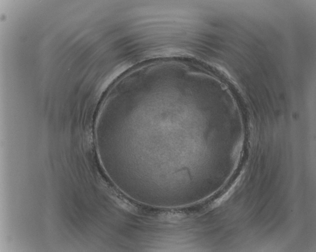 X0000074341073200609082051