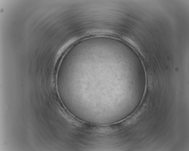 X0000074341074200609082051