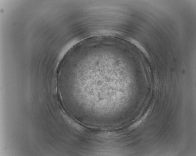 X0000074341075200609082051