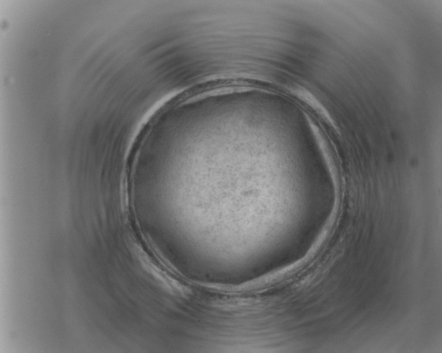 X0000074341076200609082051