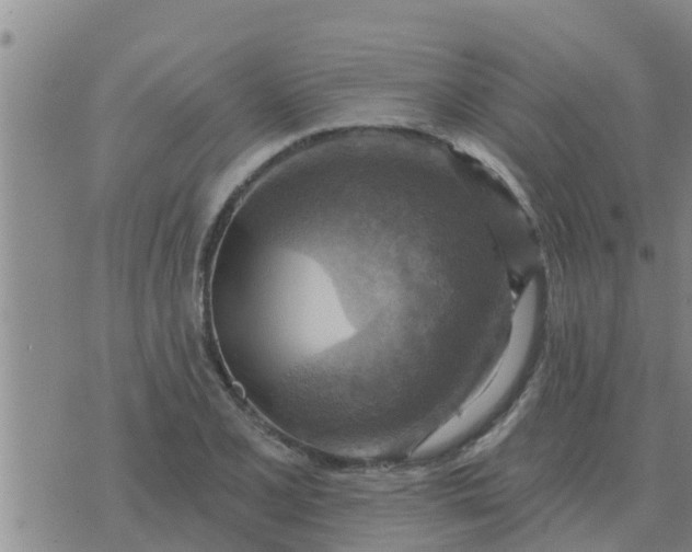 X0000074341077200609082051